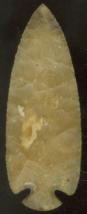 25-211 LARGE DOVETAIL POINT